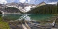 Scattered Driftwood Beautiful Mystic Lake Canadian Rockies