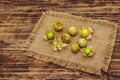 Scattered edible physalis with dry husk Royalty Free Stock Photo