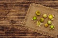 Scattered edible physalis with dry husk Royalty Free Stock Photo