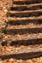 Scattered fall Maple leaves on stone steps in Kenosha, Wisconsin