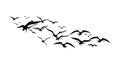 Scattered Flock of Birds in Flight Vector, vector design Generative AI Royalty Free Stock Photo