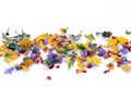 Scattered Flowers and Herbs Royalty Free Stock Photo