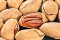 Scattered fresh pecans nuts in shell Royalty Free Stock Photo
