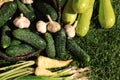 Scattered fresh ripe vegetables and wicker basket on green grass, top view Royalty Free Stock Photo