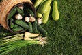Scattered fresh ripe vegetables and wicker basket on green grass, top view. Space for text Royalty Free Stock Photo