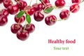 Scattered glossy cherry with tails on a white background. Isolated. Fruit border. Food background. Royalty Free Stock Photo