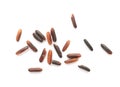 Scattered grains of brown rice on white background Royalty Free Stock Photo