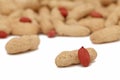 Scattered groundnuts on white background Royalty Free Stock Photo