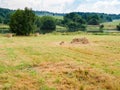 Scattered hay stack on mowed field near river Royalty Free Stock Photo