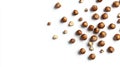 Brown Hazelnuts Scattered on White Background Royalty Free Stock Photo