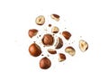 Scattered hazelnuts on white background Royalty Free Stock Photo