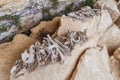 Scattered human bones Royalty Free Stock Photo