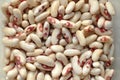 Scattered motley haricot beans Royalty Free Stock Photo