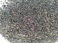 Scattered niger seed with shallow depth of field. Pile and heap of Black Color Uchellu/Gurellu. These seeds are used in masalas by Royalty Free Stock Photo