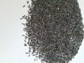 Scattered niger seed with shallow depth of field. Pile and heap of Black Color Uchellu/Gurellu. These seeds are used in masalas by Royalty Free Stock Photo