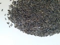 Scattered niger seed with shallow depth of field. Pile and heap of Black Color Uchellu/Gurellu. These seeds are used in masalas by Royalty Free Stock Photo