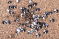 Scattered pile of silver thumb tacks on a brown cork board Royalty Free Stock Photo