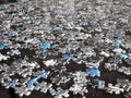 Scattered Puzzle Pieces