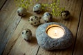 Scattered quail eggs in a straw nest on wood background, kinfolk style, Easter