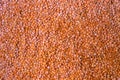 Scattered red lentil seeds texture. Grains pattern, food background, texture idea.