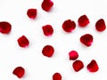 Scattered red rose petals isolated on white background. Flat lay, top view. Romantic concept for design and decoration Royalty Free Stock Photo