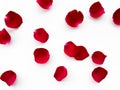 Scattered red rose petals isolated on white background. Flat lay, top view. Romantic concept for design and decoration Royalty Free Stock Photo