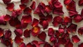 Scattered red rose petals on a textured surface Royalty Free Stock Photo