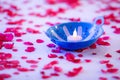 Scattered red rose petals on white background with a candle Royalty Free Stock Photo