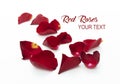 Scattered red rose petals on white background Royalty Free Stock Photo