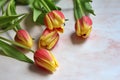 Scattered red and yellow tulips, spring flowers, flower arrangement, petals and green stems and leaves Royalty Free Stock Photo