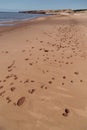 Scattered Rocks Cavendish Beach Royalty Free Stock Photo