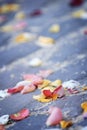 Scattered Rose Petals