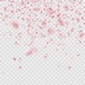 Scattered Sakura petals on transparent background. EPS 10 vector