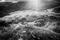 Sheep Skeleton on Mountain Top in Lake District