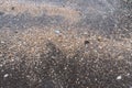 Scattered shells on a black beach. black sand beach is in Trat Thailand. Royalty Free Stock Photo