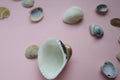 Scattered shells