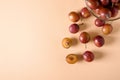 Scattered sliced half ripe sweet plum fruits with water drops near to plums in glass bowl on cream colored background Royalty Free Stock Photo