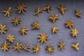 Scattered star anise seed top view on slate