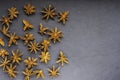 Scattered star anise top view copy space on the right on slate