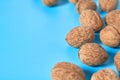 Scattered whole ripe walnuts on blue background