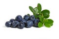 Scattering of bilberries Royalty Free Stock Photo