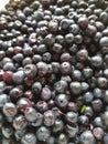 A scattering of black currant lies on a plate