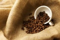 A scattering of coffee beans with a cup of coffee Royalty Free Stock Photo