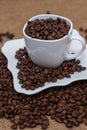 A scattering of coffee beans white cup and saucer Royalty Free Stock Photo