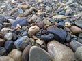 A scattering of colored pebbles