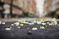 Scattering of small yellow flowers that have grown among dry cracked desert.