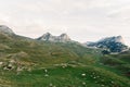 Scattering of stones on the green mountain slopes