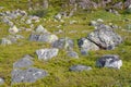 Scatterings of stones in the tundra. Kola Peninsula, Russia Royalty Free Stock Photo