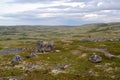 Scatterings of stones in the tundra in the north of the Kola Peninsula Royalty Free Stock Photo