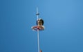 Scavenger bird eating on top of a cellphone tower Royalty Free Stock Photo